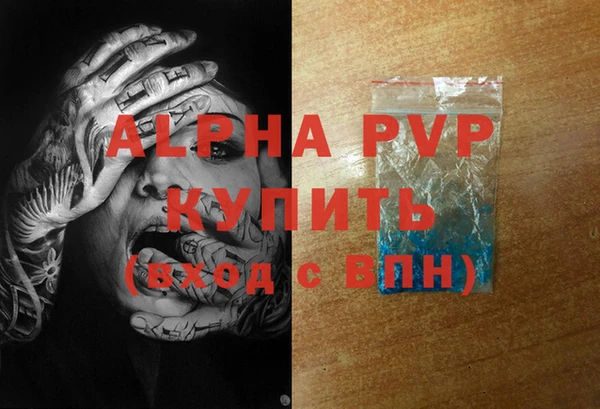 прущие грибы Мегион