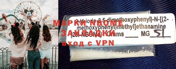 прущие грибы Мегион