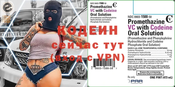 прущие грибы Мегион