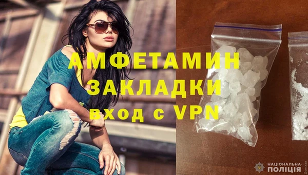 прущие грибы Мегион