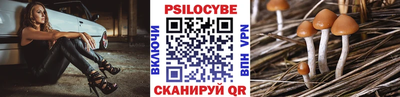 Псилоцибиновые грибы мицелий  где купить   Нестеров 