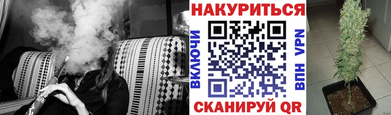 Бошки марихуана сатива  где купить наркоту  Нестеров 